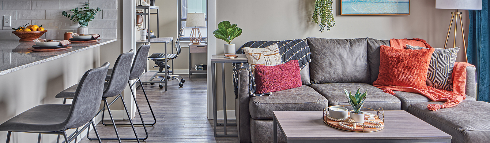 Furnished apartment living space